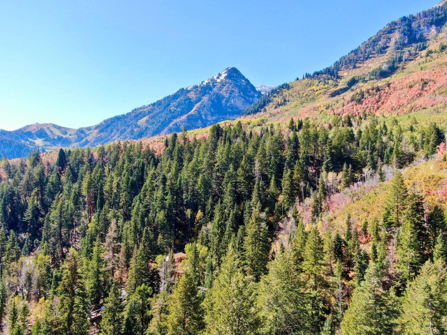 Luxury 4Br Mountain Retreat Near Sundance Resort Exterior foto